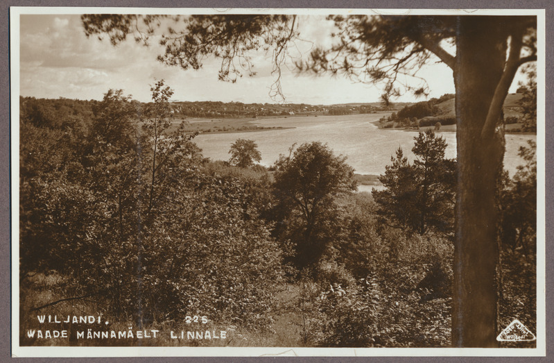 foto albumis, Viljandi, järv, linn Männimäelt, u 1930, foto J. Riet