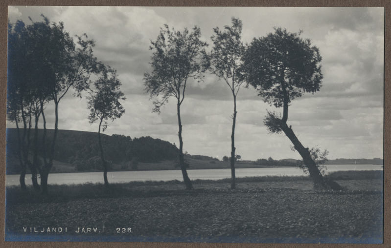 foto albumis, Viljandi, järv ümbrusega, üksikud puud, u 1920, foto J. Riet