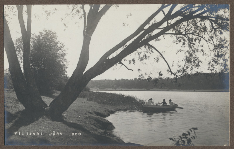 foto albumis, Viljandi, järve vastaskallas, mitmeharuline puu, järv, paat 3 neiuga, u 1920, foto J. Riet