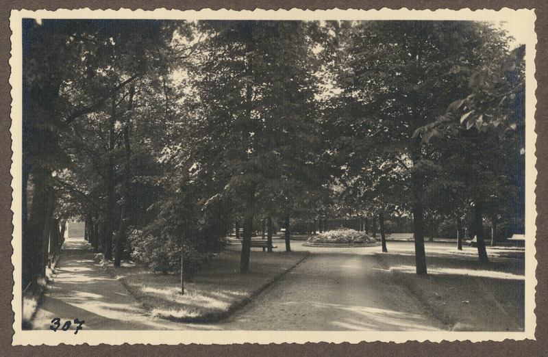 foto albumis, Viljandi, Lastepark, keskel lilleklump, u 1935, foto J. Riet