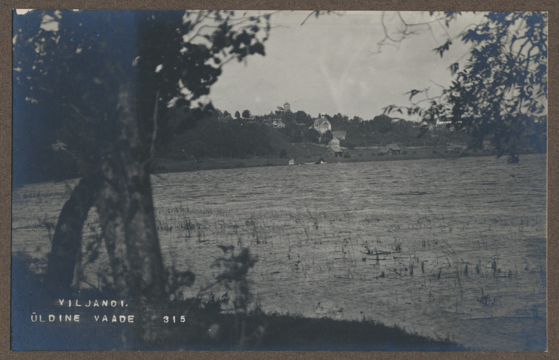 foto albumis, Viljandi, järv ja linn vastaskaldalt, keskel G.Rosenbergi maja, u 1920, foto J. Riet