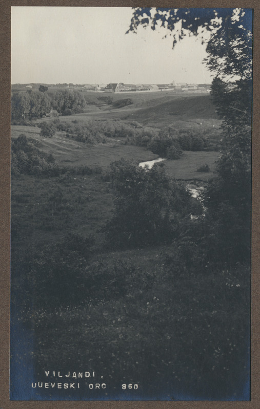 foto albumis, Viljandi, Uueveski org, taga Uueveski tee, u 1925, foto J. Riet