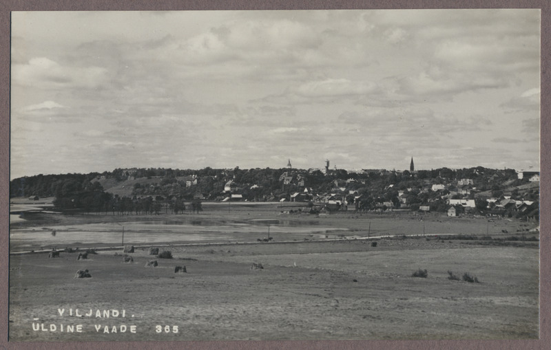 foto albumis, Viljandi, järv ja linn Tartu teelt, u 1930, foto J. Riet