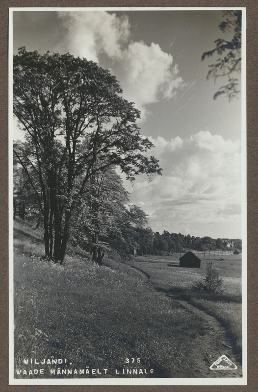 foto albumis, Viljandi, heinamaa, vaade Männimäe alt, u 1925, foto J. Riet