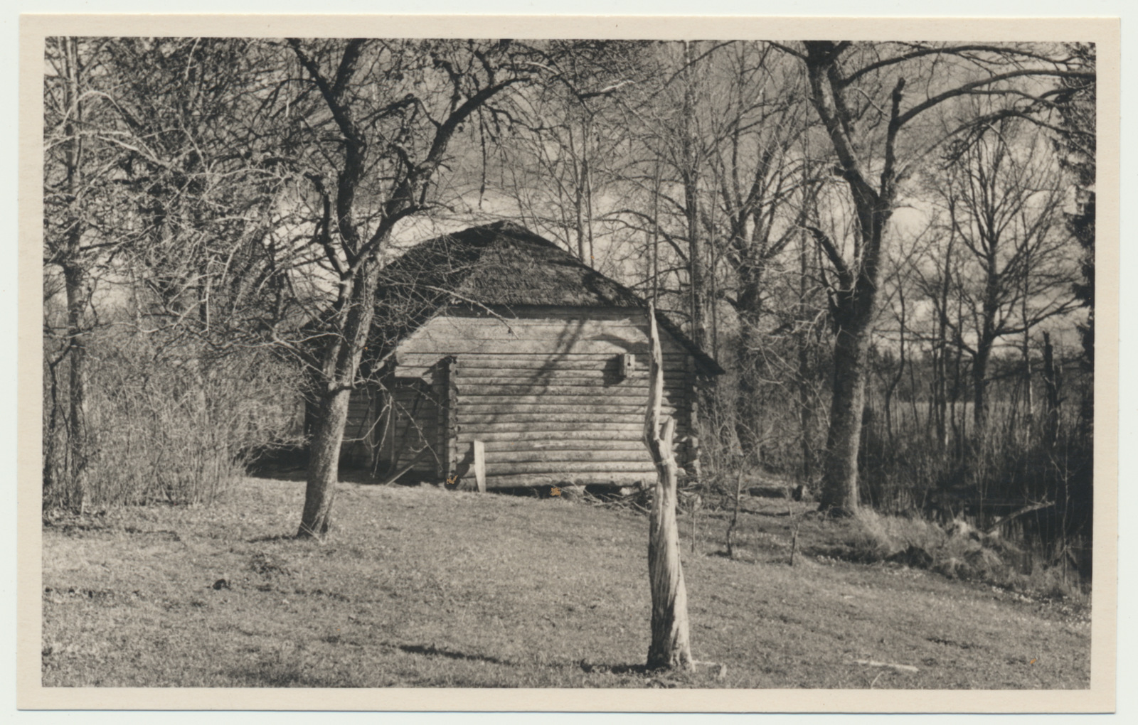 foto, Paistu khk, Aidu küla, Puiste talu, H. Pöögelmann'i sünnitalu, ait, u 1960