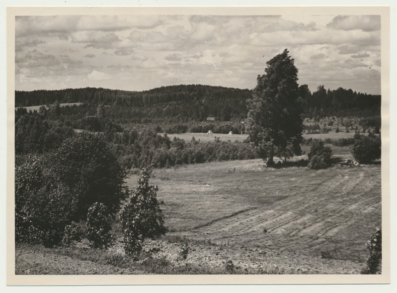 foto, Paistu khk Holstre-Polli mäed, 1958, foto A. Kiisla