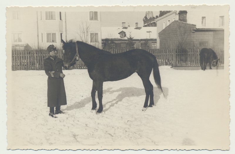 foto, Tartu Puiestee tn (ristum Narva mnt) sõjaväelane A. Kahu, hobune, talv, 1940