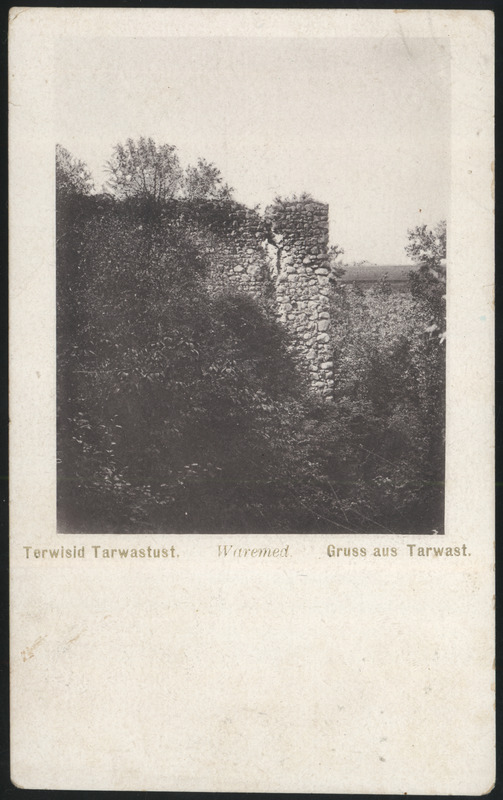 trükipilt, Tarvastu khk, Tarvastu lossivaremed, u 1910