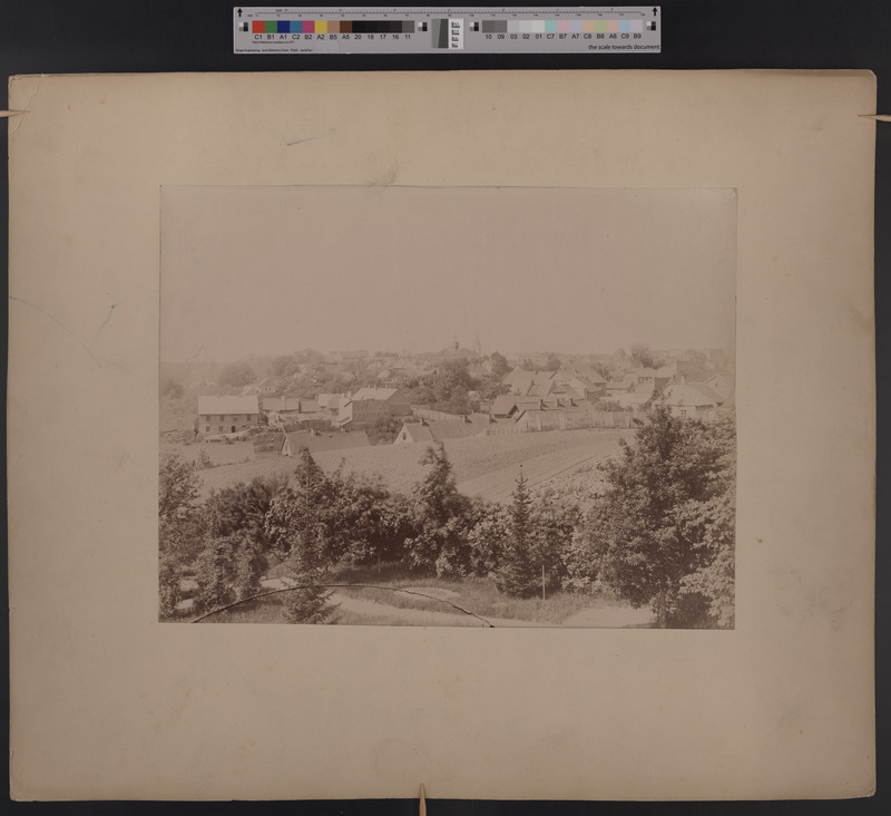 pappalusel foto Viljandi üldvaade, taga keskel raekoda, u 1900