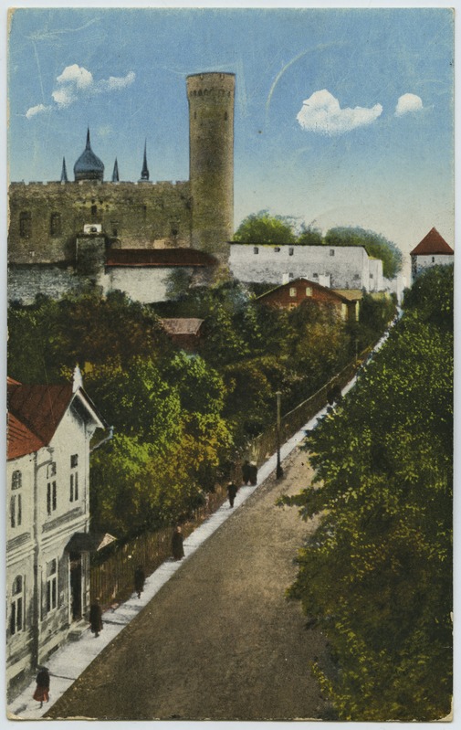Tallinn - Falgi tee