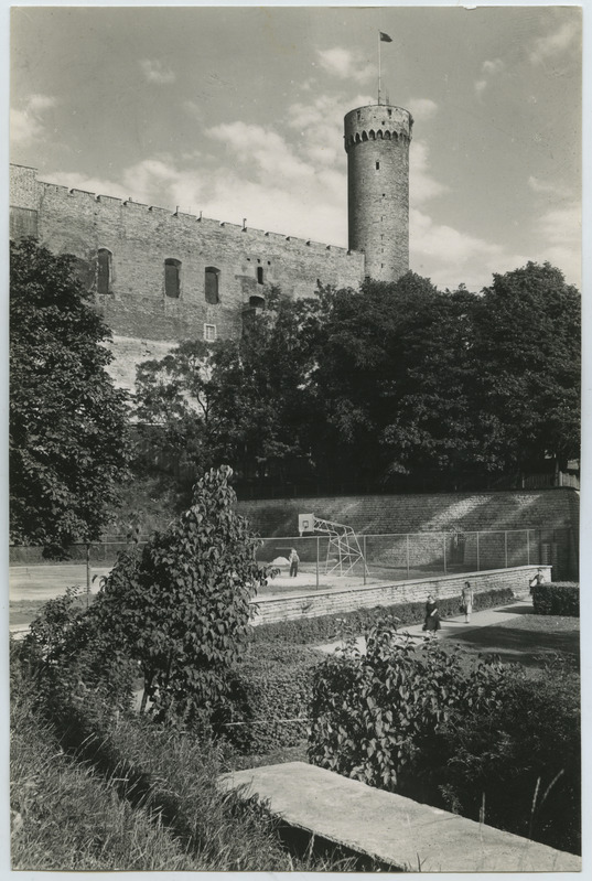 Tallinn, Pikk Hermann
