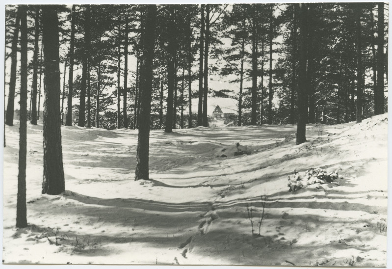 Vaade kloostri varemetele Merivälja poolt.