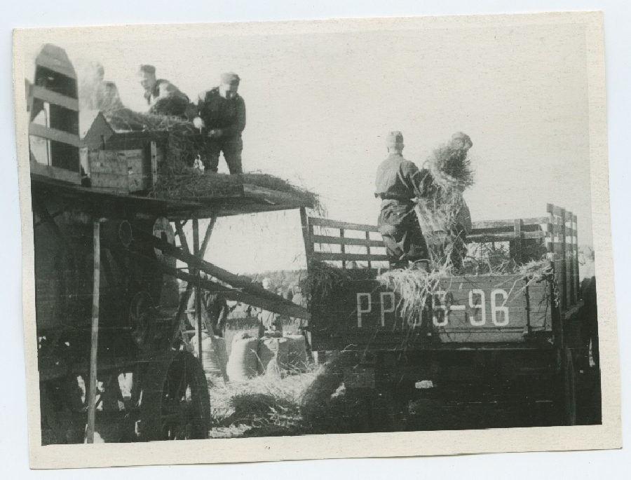 Viljapeks 1945. aasta sügisel Keila rajoonis.