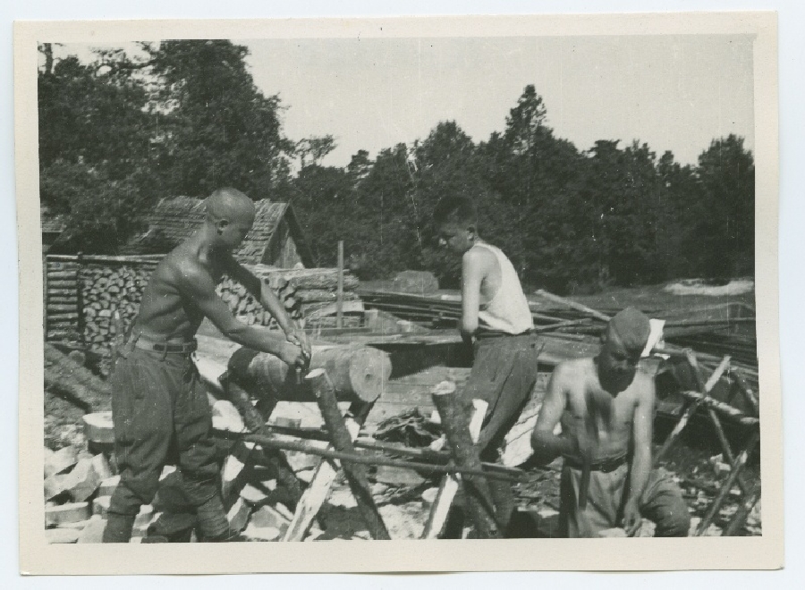 3 sõdurit metsas saagimas, Kloogal 1945. aastal.