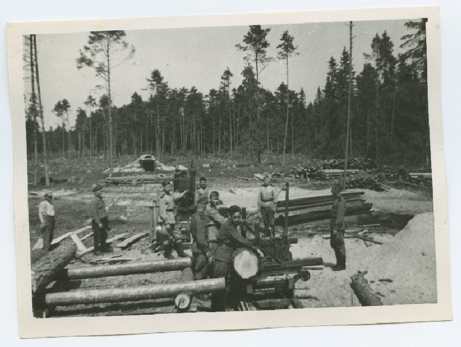 Üheksa sõdurit metsatöödel Kloogal 1945. aastal.