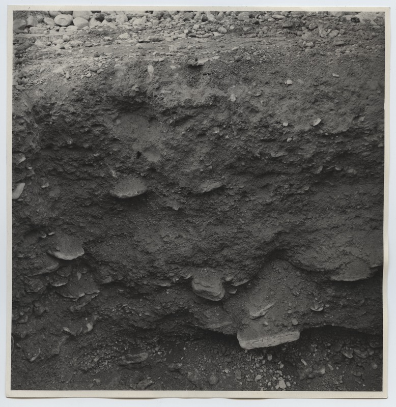 Arheoloogilised kaevamised Tallinnas 1952. aastal, I kaevendi põhjaseina profiil.