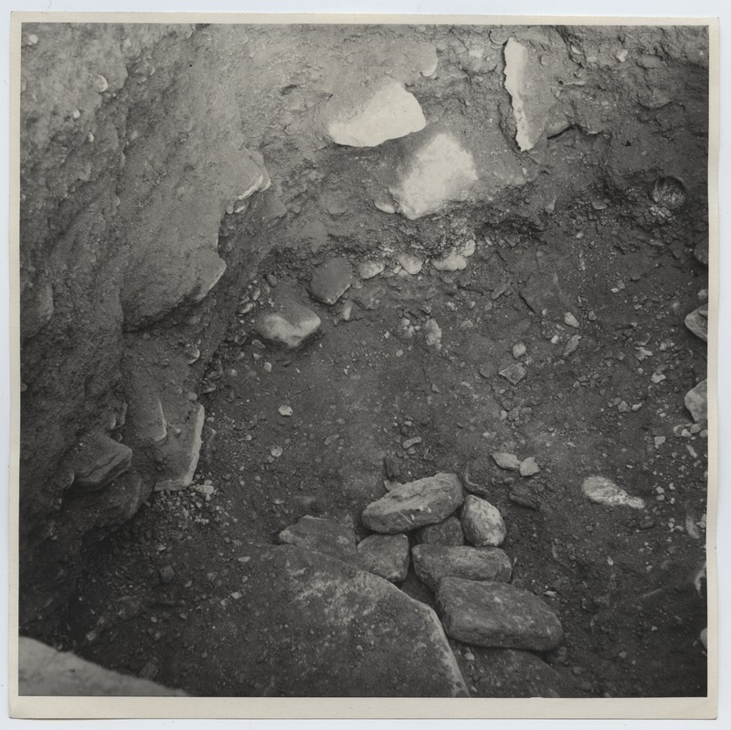 Arheoloogilised kaevamised Tallinnas 1952. aastal, I kaevend, põhi.