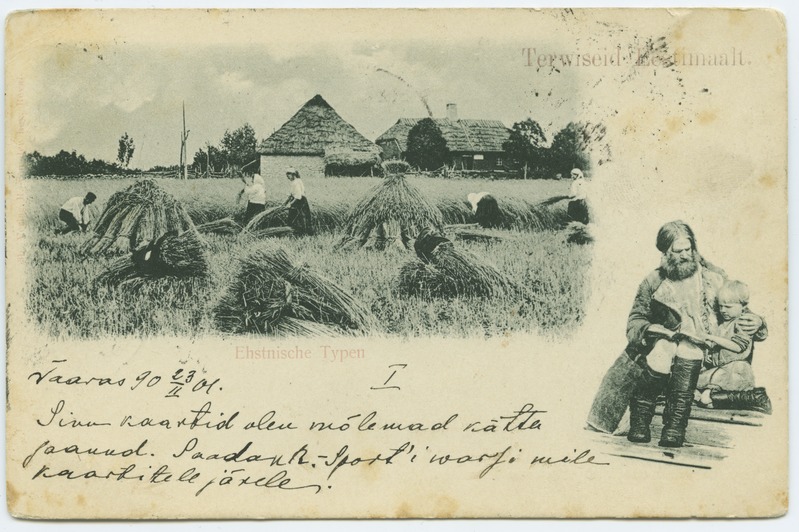 Rukki hakkidesse panek, fotopostkaart seeriast "Estnische typen".