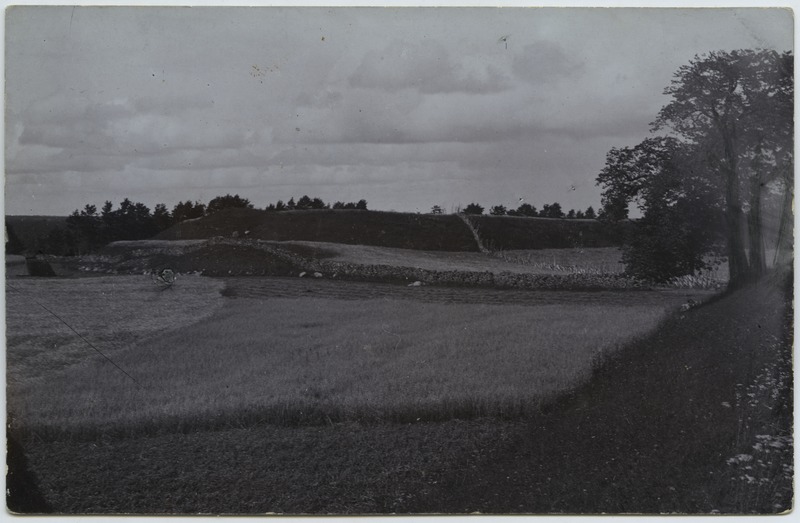 Vambola linnamägi