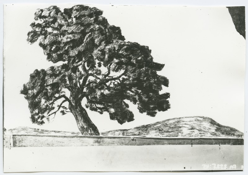 K. Raud "Pedaspea pedajas", söejoonistus 1938. aastast.
