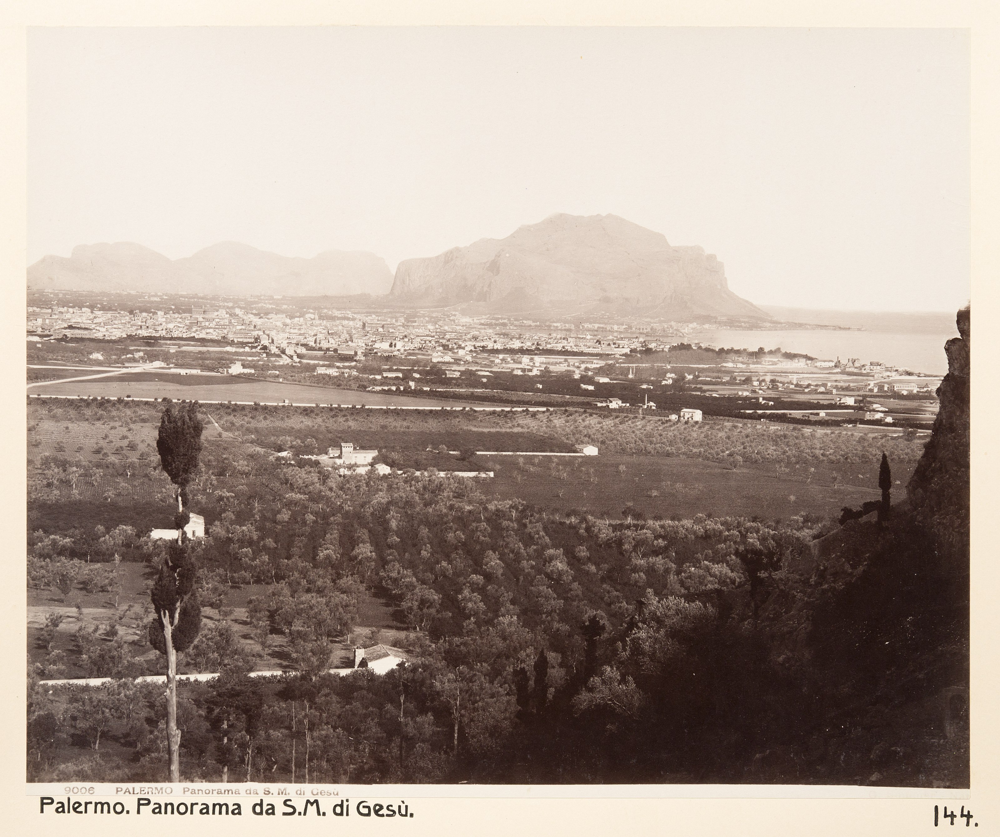 Fotografier - Note: For documentary purposes the original description has been retained. Factual corrections and alternative descriptions are encouraged separately from the original description.Fotografi från Palermo.Nyckelord: Sicilien