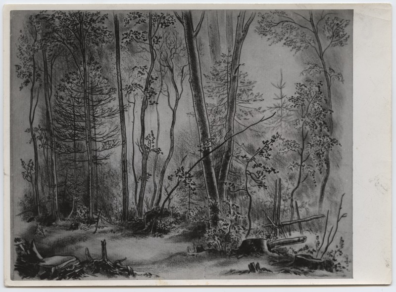 Fotoreproduktsioon Reindorff "Hommik metsas" erakogudest (Eesti kunst).