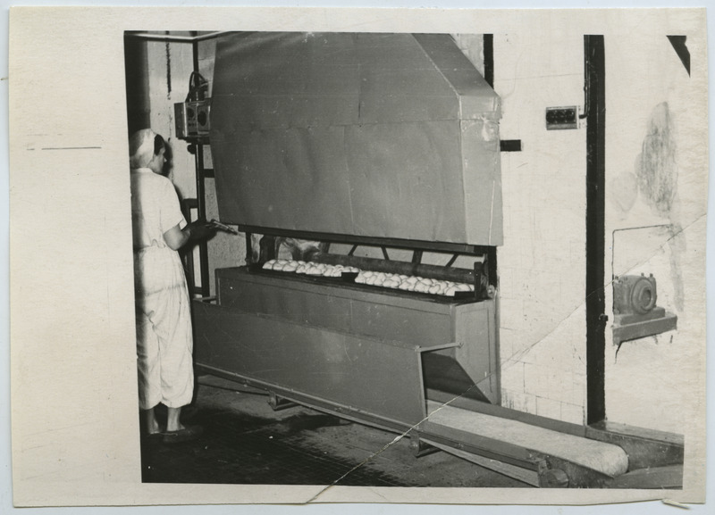 Leivatehas nr. 2, saiade küpsetamine.