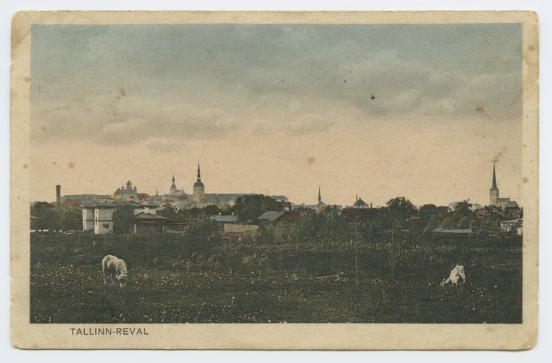 Tallinn. Vaade Maarjamäe poolt