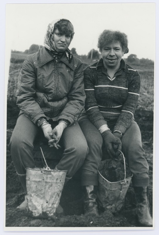 RPI Eesti Maaehitusprojekti II osakond Lümandas kartulivõtul