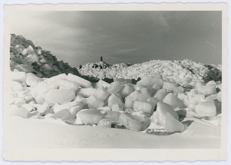 Loodusfoto. Jääkamakate mäed Pärnu rannas.