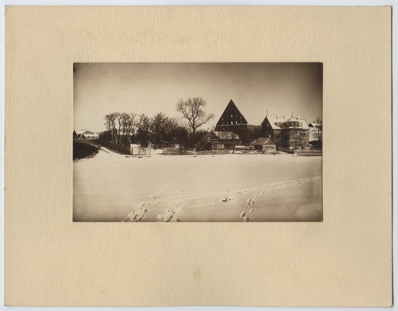 Tallinn, Pirita kloostri varemed suvilate vahel, talvel, vaade edelast, fotovõistlustöö.