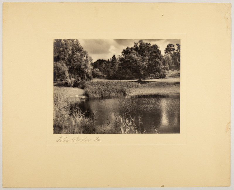 Tallinn, Pirita jõe kallas, Pirita Kaunistamise Seltsi fotovõistluse III auhind.