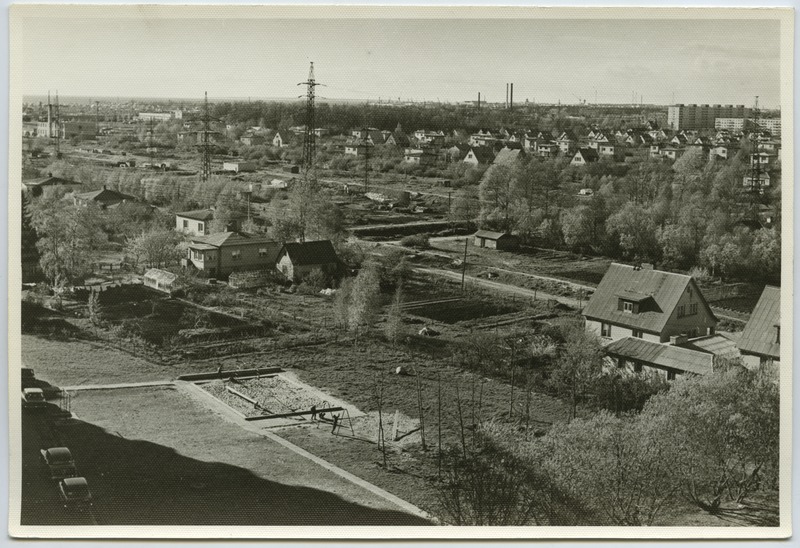 Individuaalelamute rajoon