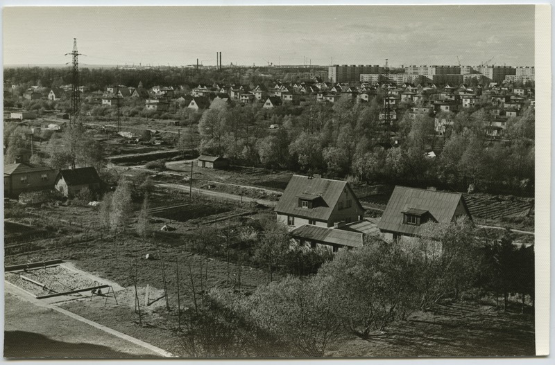 Individuaalelamute rajoon