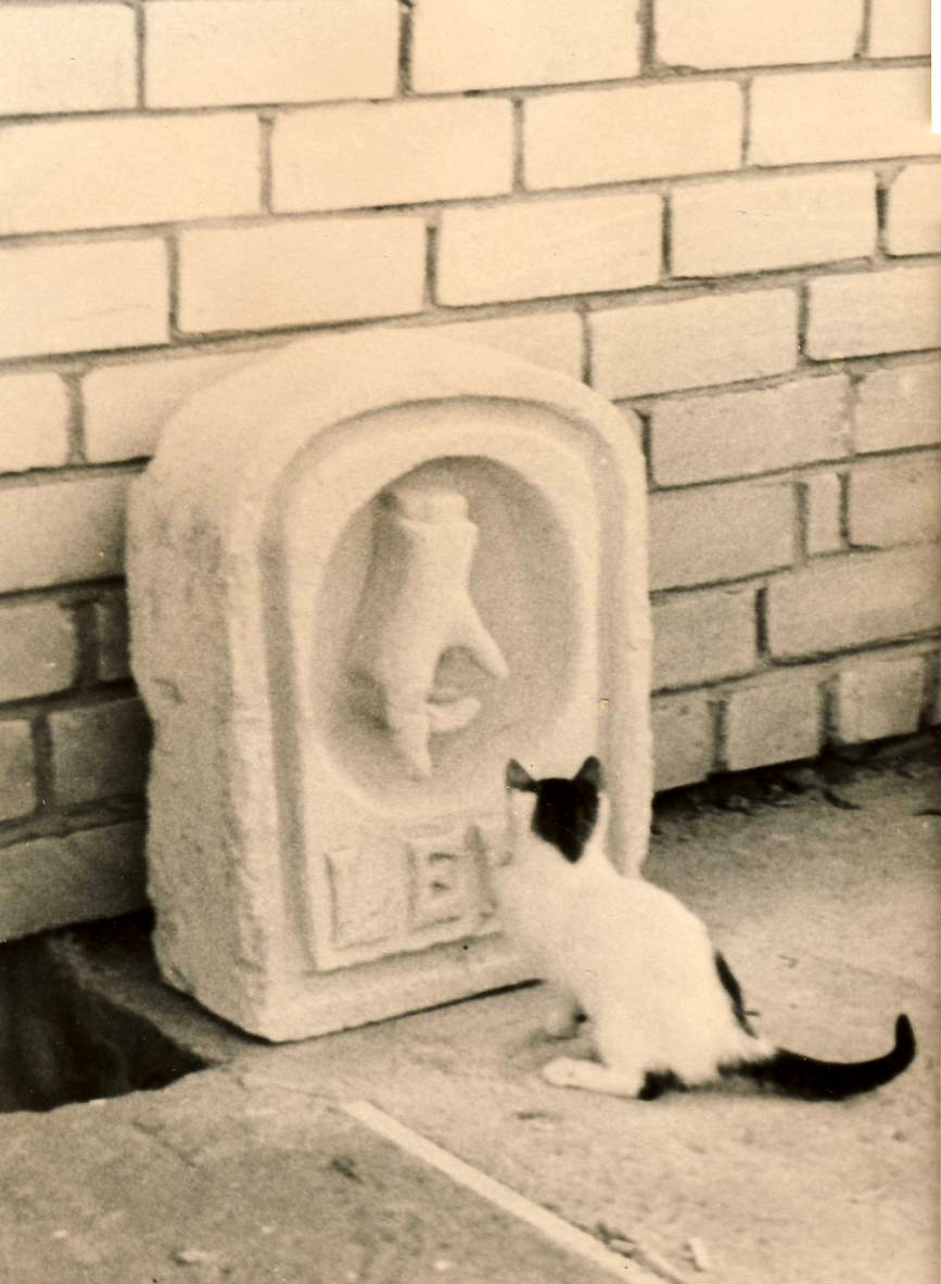 EÜE 1971 Leie rühm