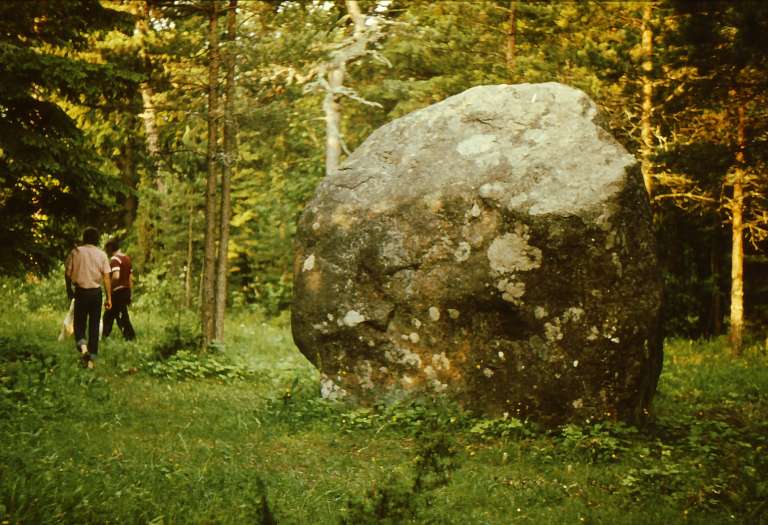 GNST - J.Gagarini nimeline näidissovhoostehnikum