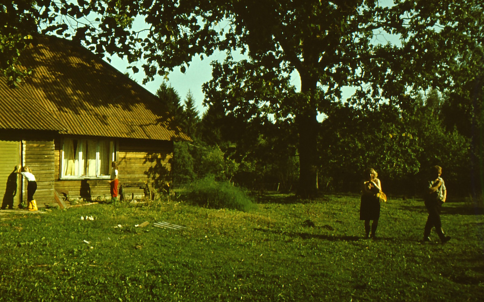 Pine (Rauba) in Jeedaskülas near Vastseliina, summer 1987.