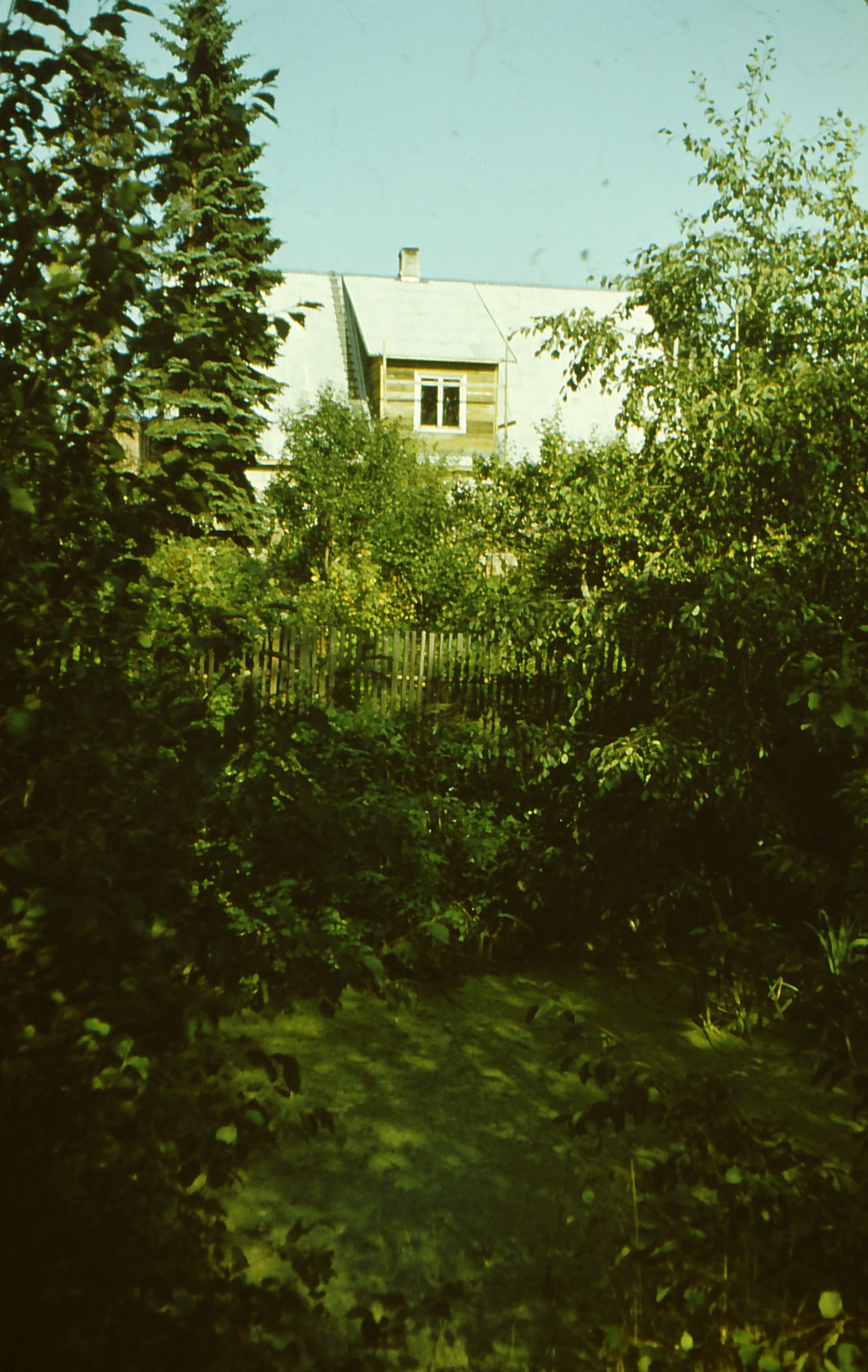 Pine (Rauba) in Jeedaskülas near Vastseliina, summer 1987.