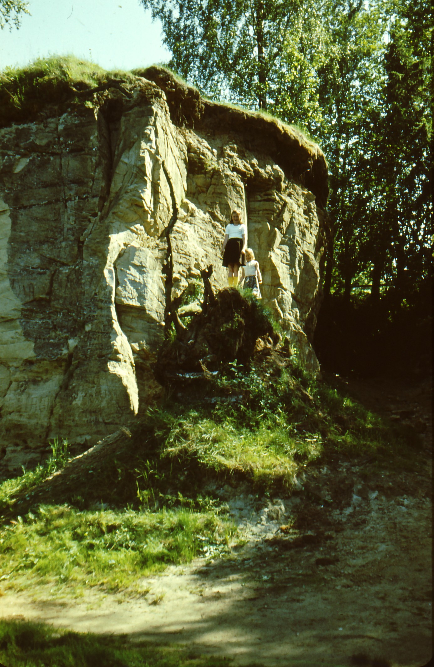 Pine (Rauba) in Jeedaskülas near Vastseliina, summer 1987.