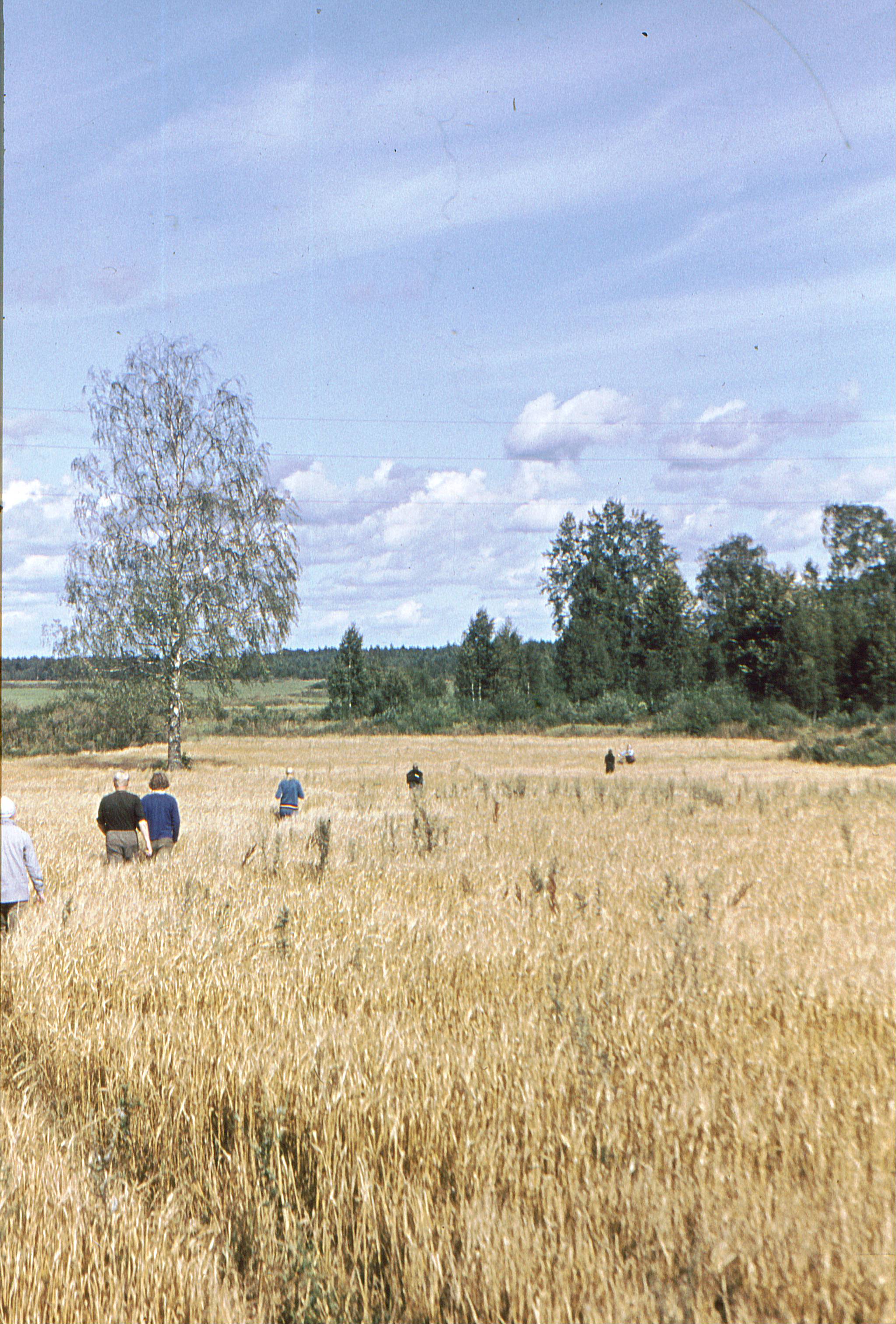 EÜE 1971 Leie rühm