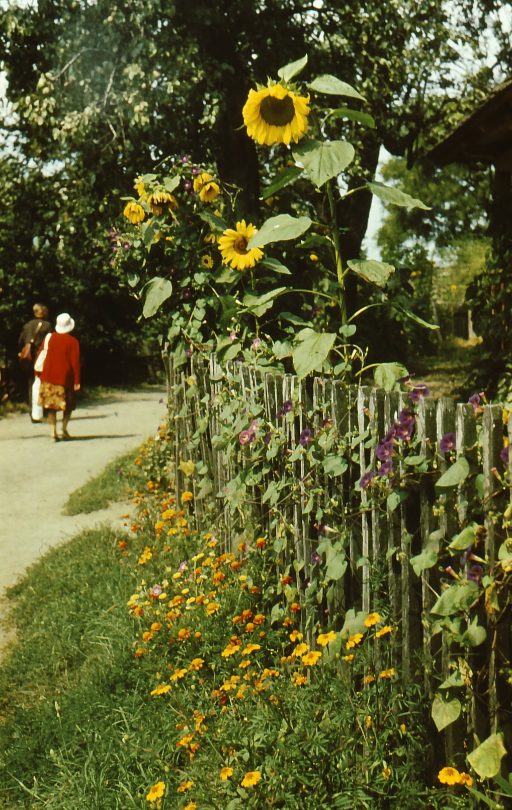 Turismireis Taga-Karpaatiasse, 1984.