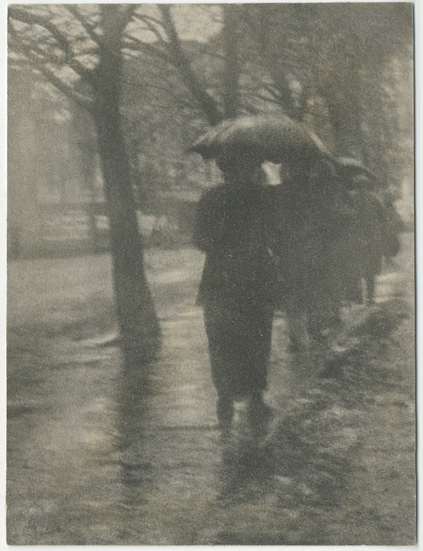 Foto. "Vihma ajal"