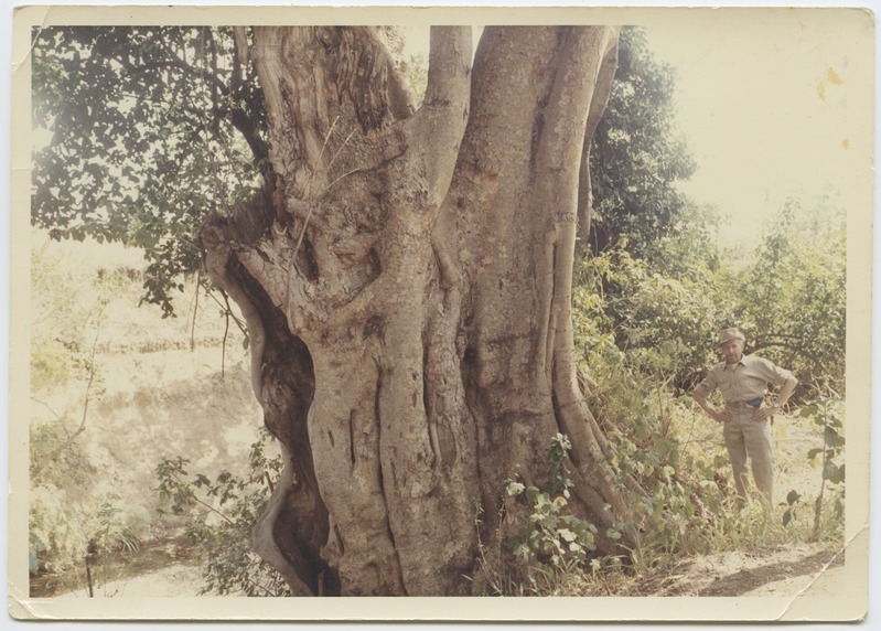 Kenya - Ida Aafrikas.