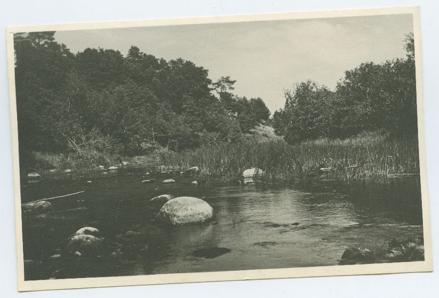 Tallinn, Pirita jõgi.