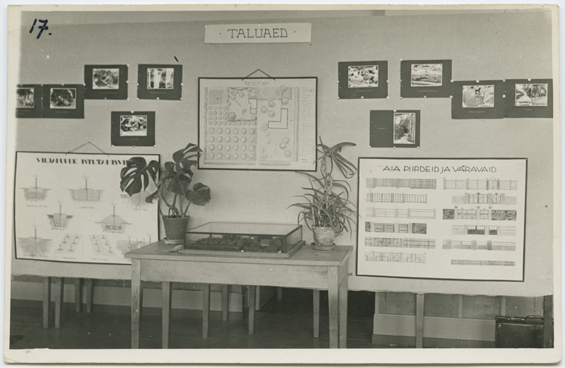 Kevadine koolinäitus