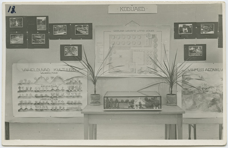 Kevadine koolinäitus