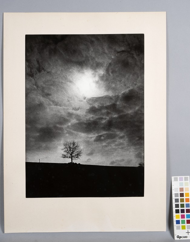 "Puu". Pilvine taevas, üksik puu ja must maapind. Raamitud foto.