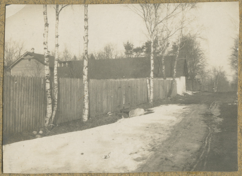 Joh. Mülberi album1: kevadine tee, plankaed ja kased