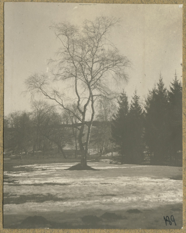 Joh. Mülberi album1: loodusvaade