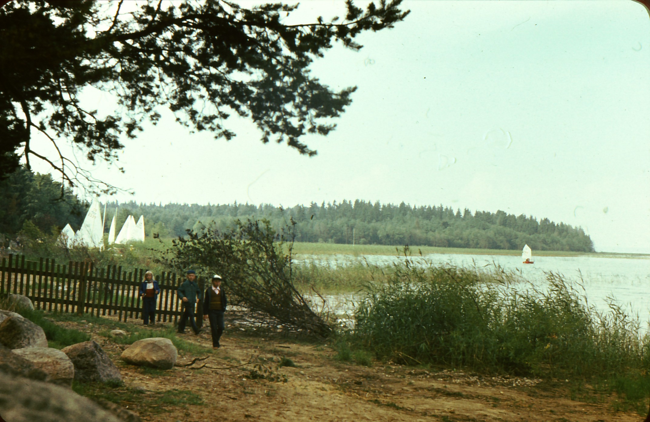 XI Võrtsjärve mängud Trepimäel, juuli 1979.